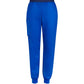 Biz Care Mens Riley Slim Leg Jogger Scrub Pant (CSP042ML)